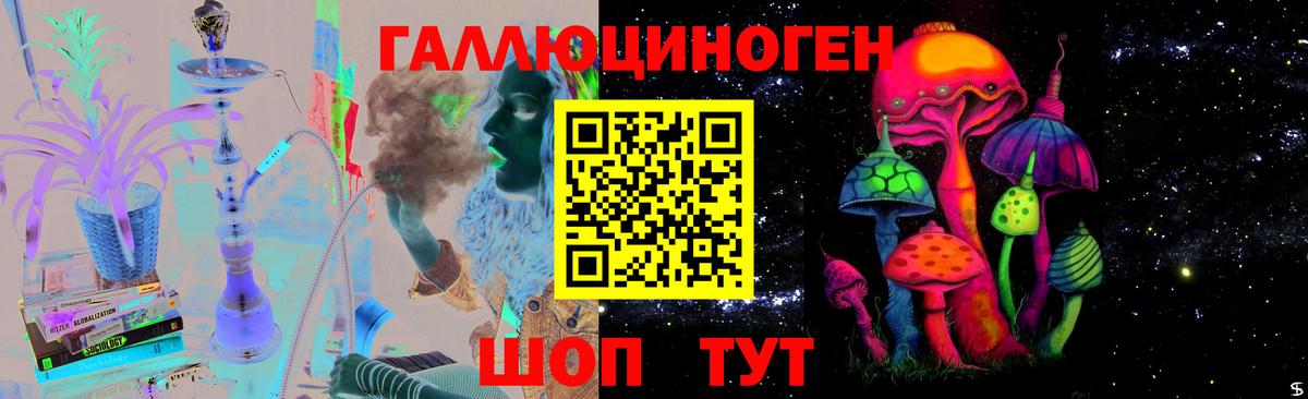 Псилоцибиновые грибы GOLDEN TEACHER  Вход с VPN  Кизляр 